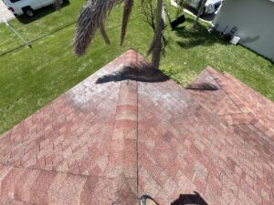 Worn shingles from tree branches