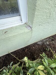 Damaged stucco