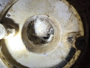 Obstructed shower drain