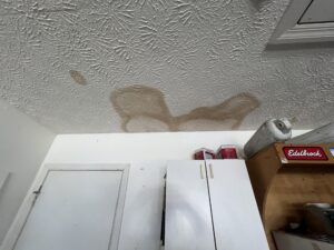 Moisture stains on ceiling 